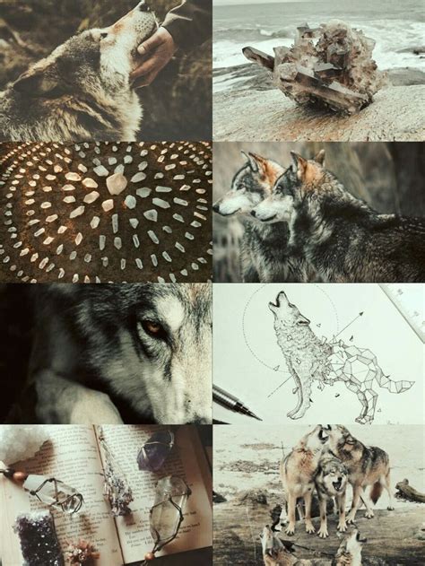 kinstethic: “ Wolf aesthetic ” | Werewolf aesthetic, Magic aesthetic