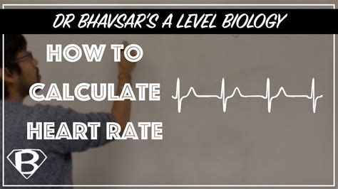 A Level Biology How To Calculate Heart Rate Youtube
