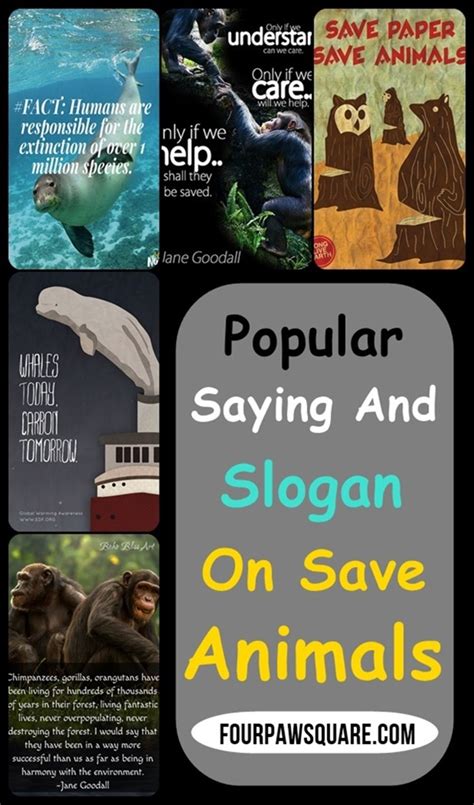 A great poster for the cause of saving trees with the catchy slogan root for trees. Pagsabay Sa Globalisasyon Poster Slogan / Slogan Nutrition Month 2019 Youtube - Tl sa kabila ng ...