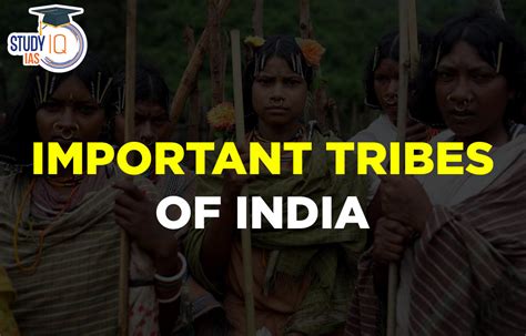 Tribes In India List Map Major Tribes Of India State Wise List