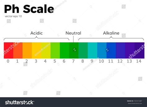 Ph Scale Universal Indicator Ph Color Stock Vector Royalty Free