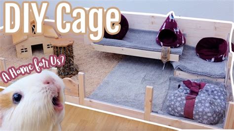 21 DIY Guinea Pig Cage Ideas Atelier Yuwa Ciao Jp