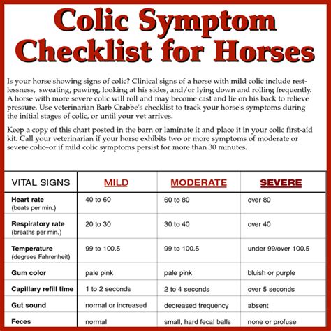 Do You Know The Difference Between Mild Moderate And Severe Colic
