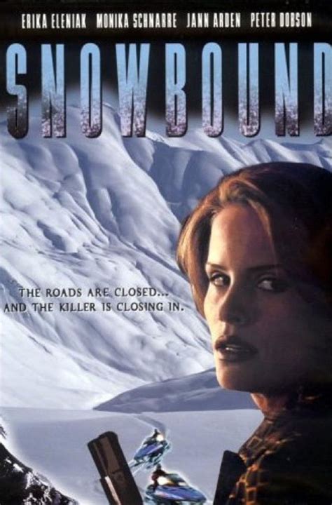 snowbound 2001 imdb