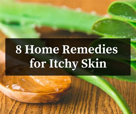 8 Home Remedies For Itchy Skin Healthy Habits