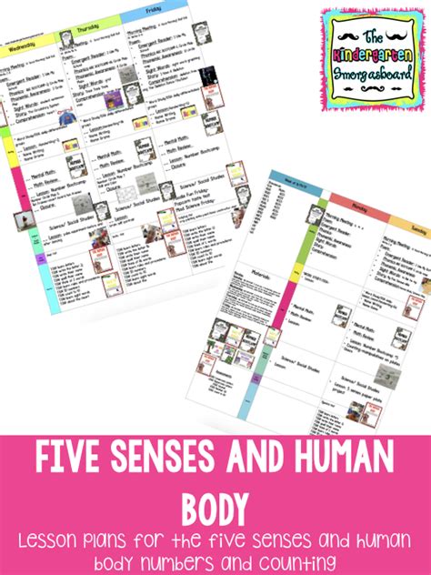 Lesson Plans For Teaching About The Five Senses And Human Body Hands