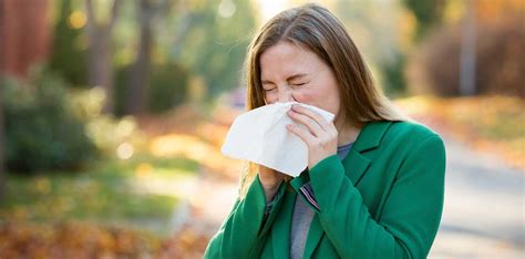 Sneezing Itchy Eyes Welcome To Allergy Season New Jersey Turnpike Authority