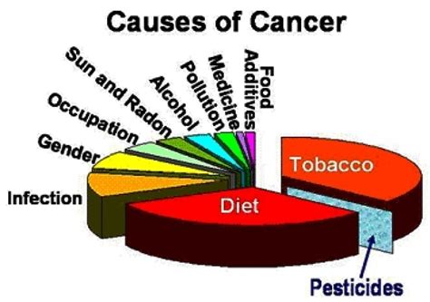 Cancer Types Causes Symptoms Treatment And Preventions Daneelyunus