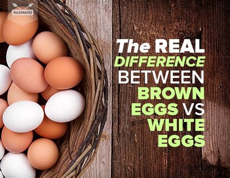 The Real Difference Between Brown Eggs Vs White Eggs