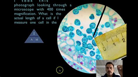 Total magnification = optical magnification x digital magnification. How to quickly Calculate Cells Size and Magnification ...