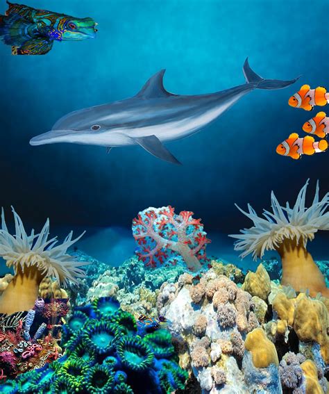Jerdees Art Classes Digital Art Underwater Ocean Scene