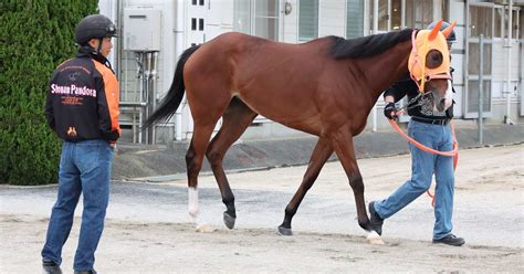 前日オッズはナミュールが1番人気 競馬gⅠ「ヴィクトリアマイル」前日発売の最終オッズ 産経ニュース