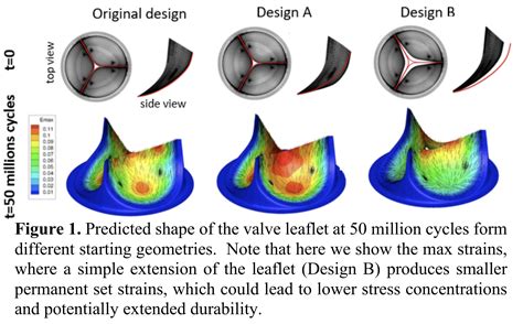 Hvs Predicting Bioprosthetic Heart Valve Shape Structure And Stress