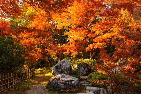 2019 Autumn Forecast Best Places To See Autumn Leaves In