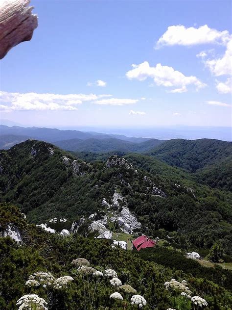 Nacionalni park risnjak, smješten u gorskom kotaru, osnovan je 1953. Nacionalni park Risnjak | Croatia national park, National ...