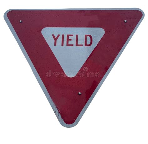 Red And White Yield Sign With White Background Stock Photo Image Of