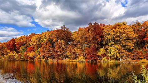 Lake In Autumn Forest Wallpapers Wallpaper Cave
