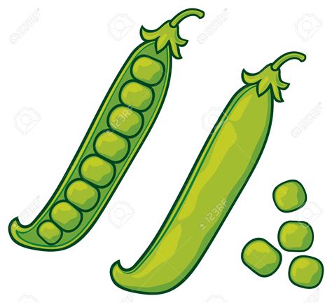 Seed Pod Clipart 20 Free Cliparts Download Images On Clipground 2023