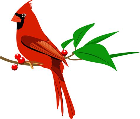 Download Bird Red Cardinal Northern Cardinal Royalty Free Stock