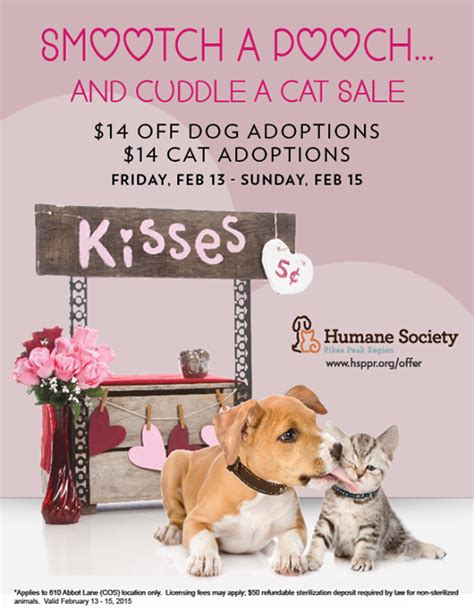 10 Valentines Day Fundraising Ideas To Help Animals