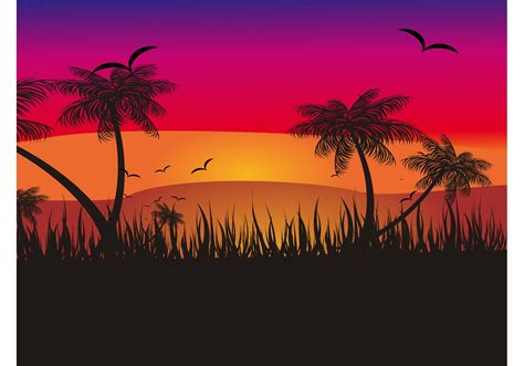Tropical Sunset - Download Free Vector Art, Stock Graphics & Images