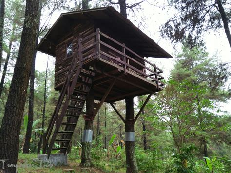 We did not find results for: Rumah Pohon Taman Dayu