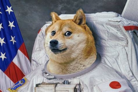 Musk, also the founder of spacex, has alluded to the term dogecoin's traders frequently use, doge to the moon, which means increasing its value to $1 for a token, forbes explains. Elon Musk Tweets In Support Of Dogecoin After Price Grows ...