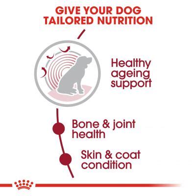 A 10kg dog requires 80g dry food and 3/4 tray daily, a 15kg dog requires 110g dry food and 1 tray daily, a 20kg dog requires 135g dry food and 1 1/4 trays daily, a 25kg dog requires 185g dry food and 1 1/4 trays daily, a 30kg dog requires 215g dry food and 2 1/2 trays daily. Royal Canin Medium Ageing 10+ | Top deals at zooplus!