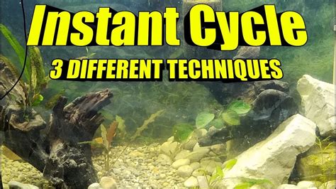 Anything that rots in a tank will produce ammonia, and fish will check out guide: FAST Freshwater Fish Tank Instant Cycle | 3 BEST Methods ...