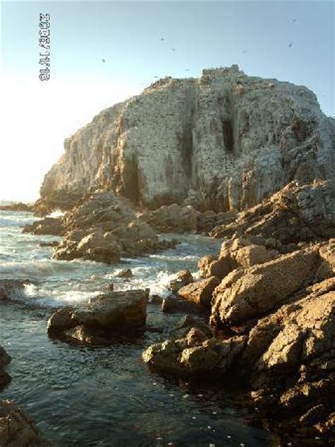Rezervasyondan sonra telefon numarası ve adresi de dahil olmak üzere tesise ait tüm bilgiler rezervasyon onayınızda ve hesabınızda sunulmaktadır. Praia Vista do Bosque - Picture of Playa Canelo ...