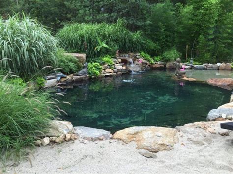 People Are Making Natural Swimming Holes By Replacing Their Pools With