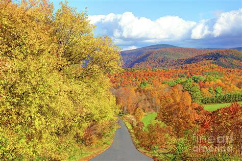 Mount Greylock In The Berkshires Photograph By Denis Tangney Jr Fine