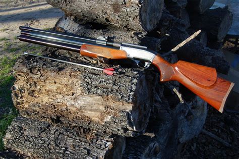 The Dragon Claw Air Rifle For Hunting With Propelled Arrows Hppr