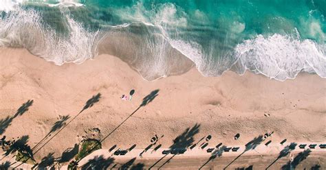 Guests can keep cool at the outdoor beachfront pool. If you're needing to get around, take the free trolley ...