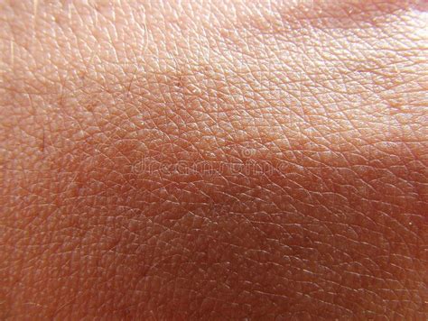 Skin Stock Photo Image Of Medical Body Texture Detail