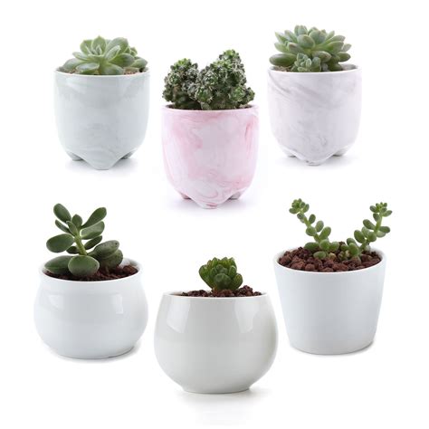 T4u Mini Ceramic Succulent Planter Pot Small Cactus Plant Pots