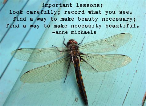 Dragonfly Spiritual Quotes Quotesgram