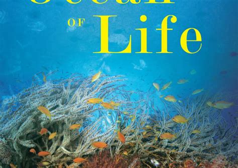 The Ocean Of Life By Callum Roberts Smithsonian Ocean