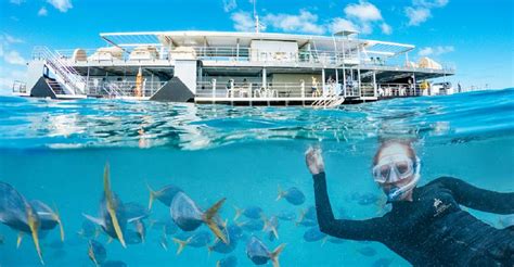 Airlie Beach Outer Great Barrier Reef Reefworld Pontoon Getyourguide