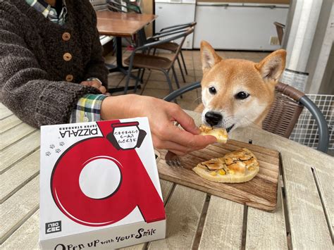 Leading Japanese Pizza Chain Pizza La Now Deliversfor Your Dog