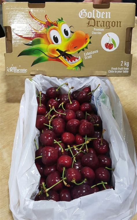 Chilean Cherries In High Gear For Chinese New Year