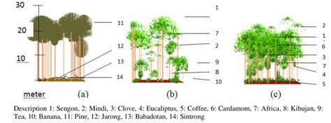 Composition Structure Of Forest Stands In Selaawi Village Scale 1