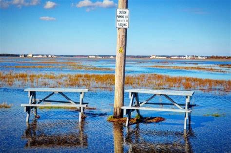 Caw Partners Receive Resilience Grants New Hampshire Coastal