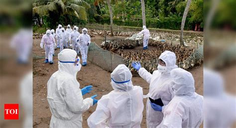The last human epidemic of bird flu in china occurred in late 2016 to 2017, with the h7n9 virus. Bird flu: Centre asks all states to be prepared for any ...