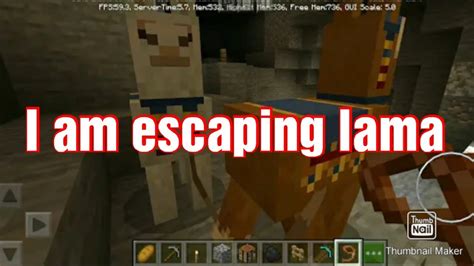 Escape Lama YouTube