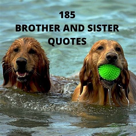 Cute Brother And Sister Quotes 180 Sibling Quotes With Images Funny