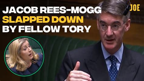 Jacob Rees Mogg Schooled On Basic Operation Of Parliament By His
