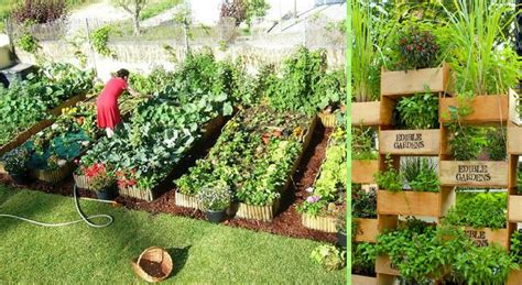 Avoir Un Canard Dans Son Jardin - idee jardin legume - le spécialiste de la décoration extérieur