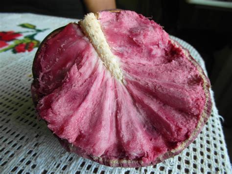 Frutas Que Começam Com A Letra I