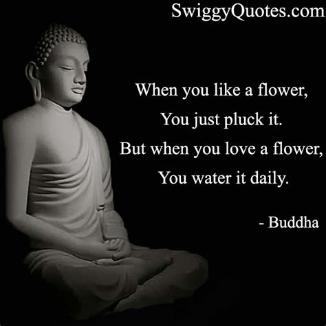 Relationship Love Quotes Buddha At Best Quotes